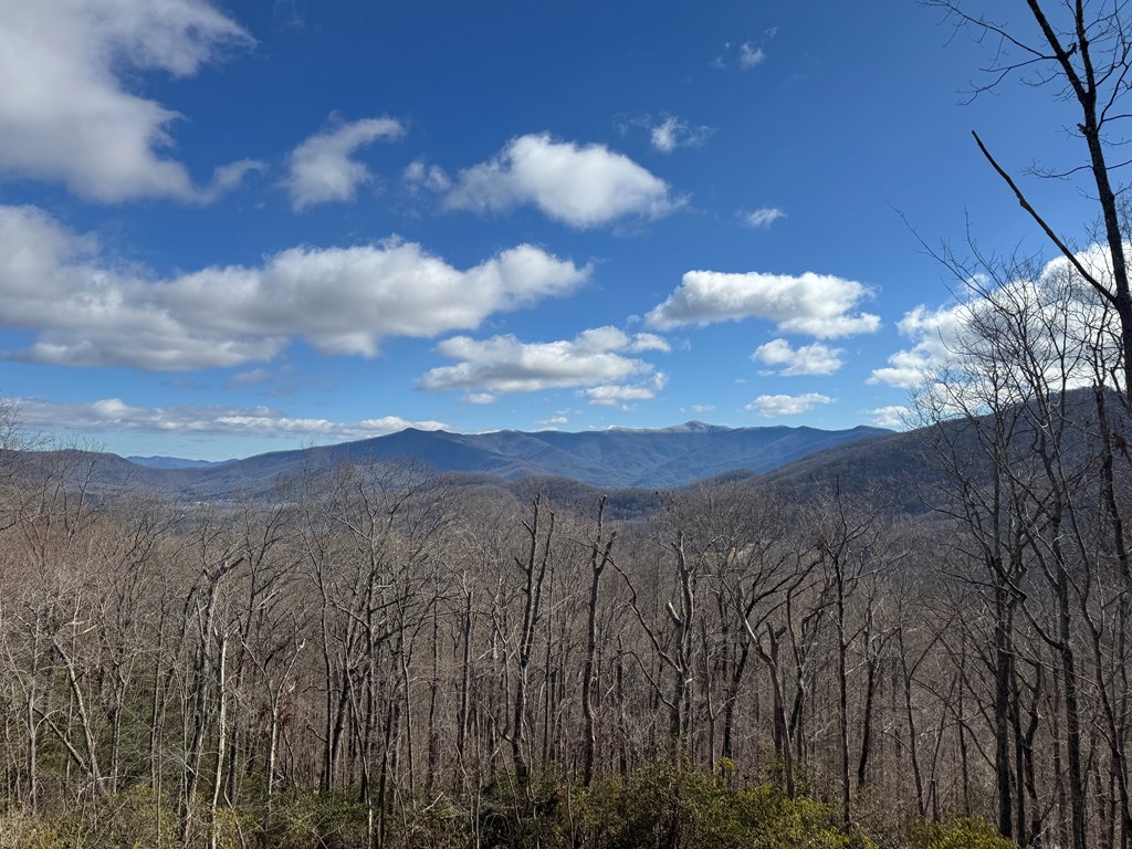 579 Overlook Loop Young Harris, GA 30582 - Photo 46 of 47