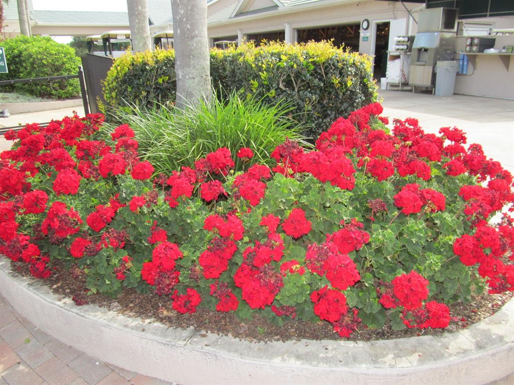 6503 Stone River Road, Unit 109 Bradenton, FL 34203 - Photo 63 of 65