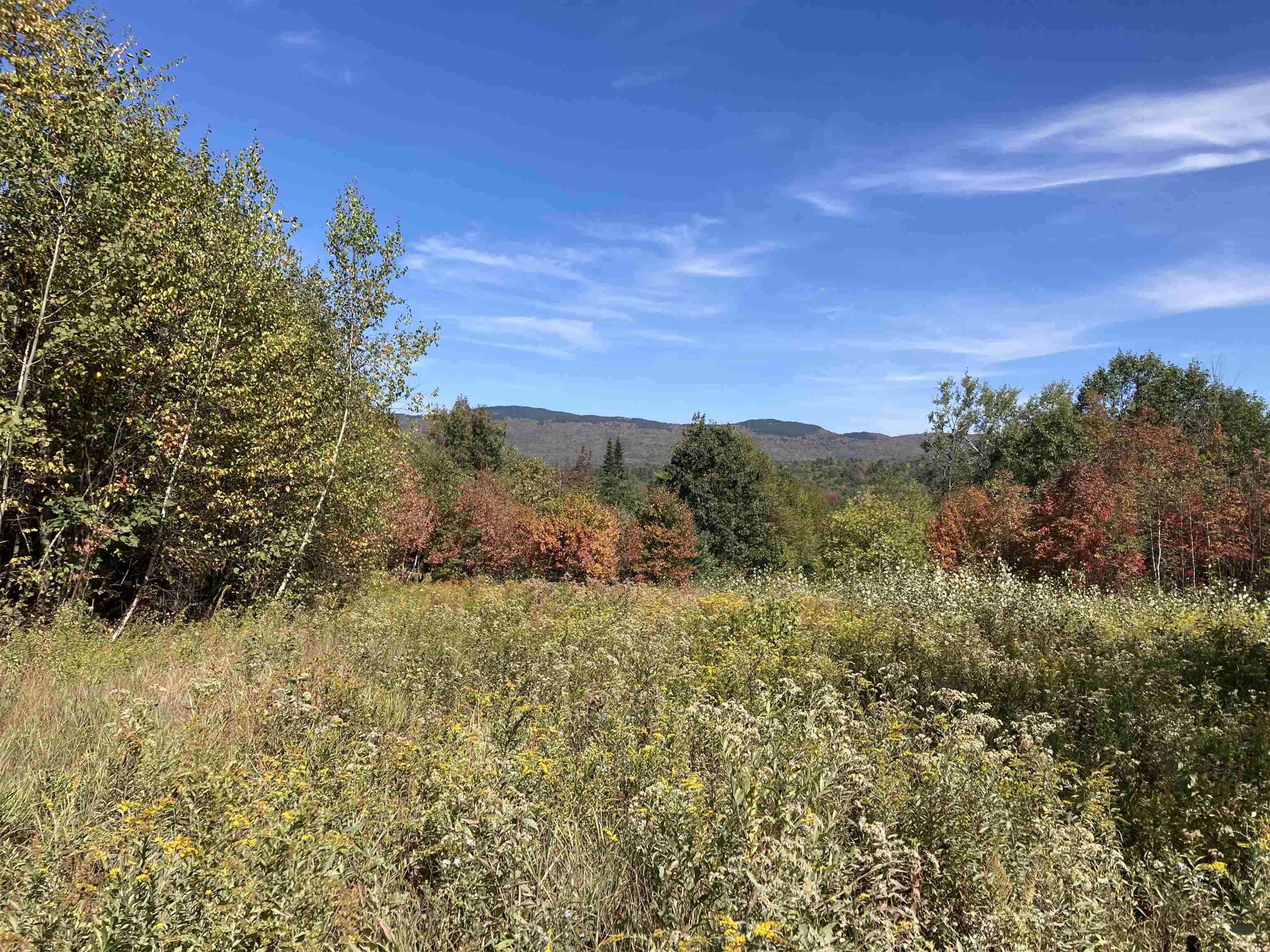 414 Turnpike Road Grafton, NH 03240 - Photo 3 of 14