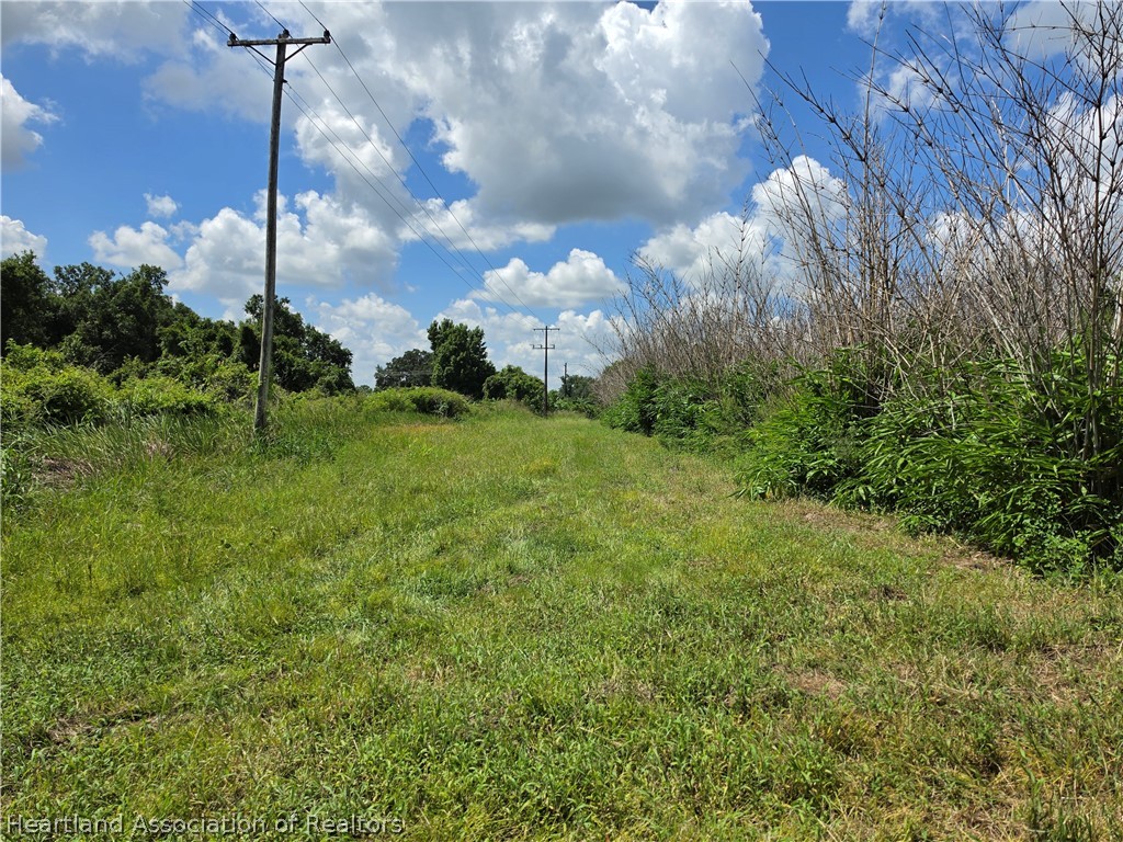0 West St Road Wauchula, FL 33873 - Photo 17 of 24