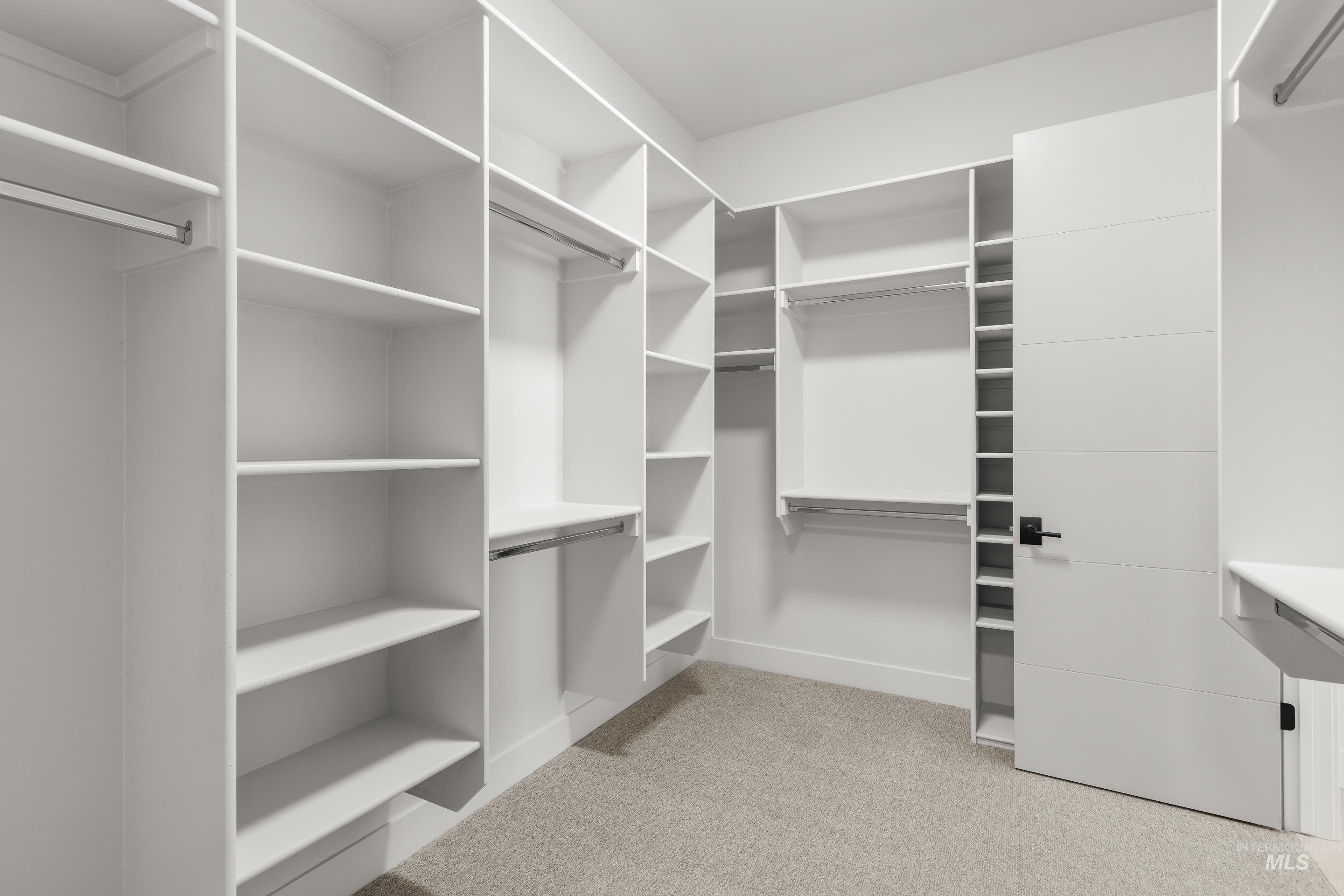 13 Blk 7 E Strut Way Boise, ID 83716 - Photo 35 of 50 Walk in closet with light carpet