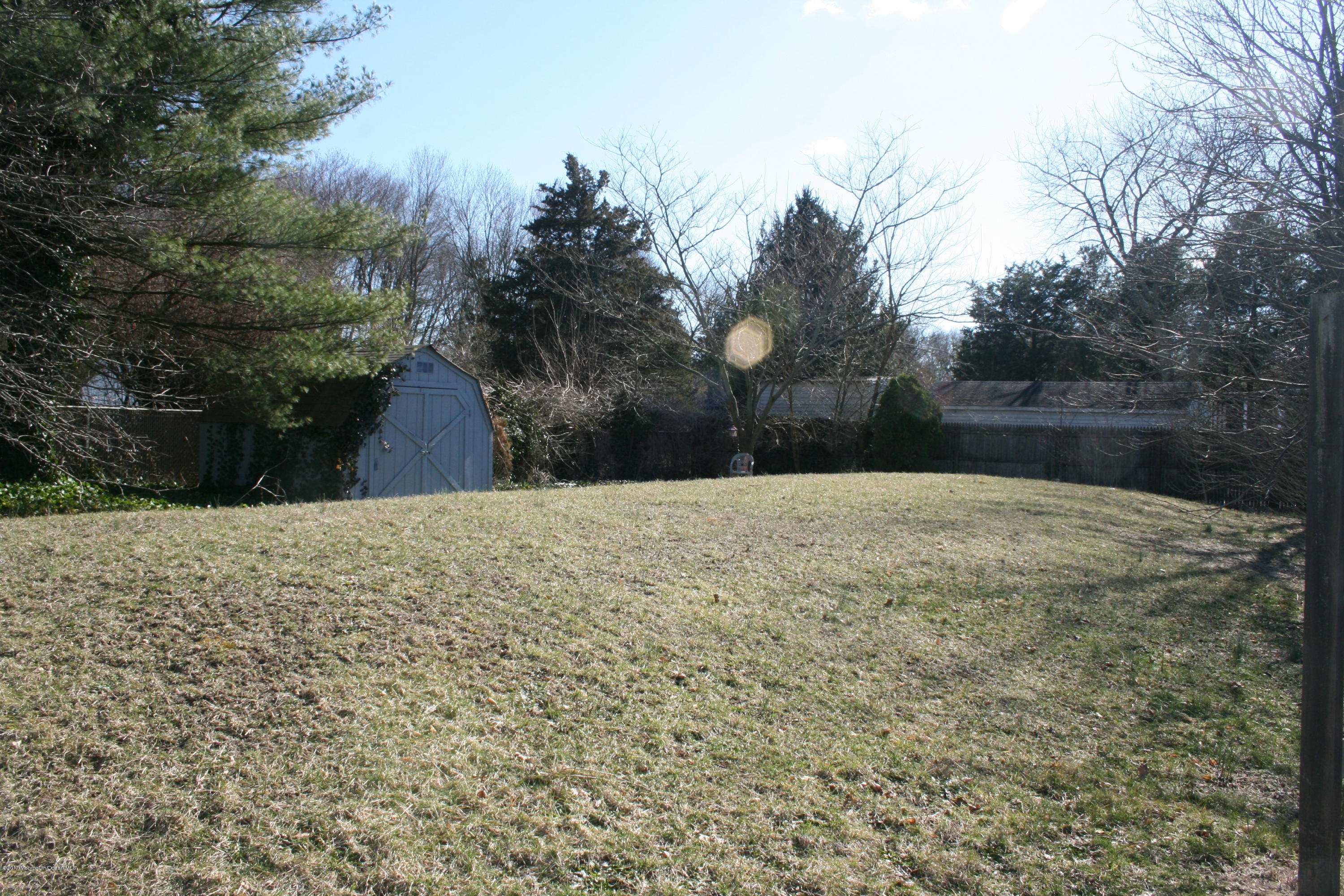 867 Monmouth Road Cream Ridge, NJ 08514 - Photo 18 of 19 a view of backyard and tree