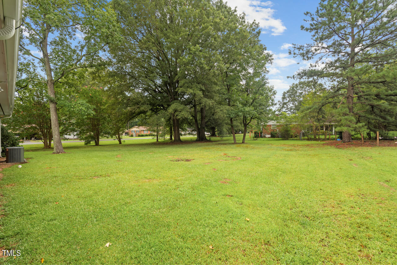 4701 Bennett Memorial Road Durham, NC 27705 - Photo 28 of 29 24 Back Yard 2