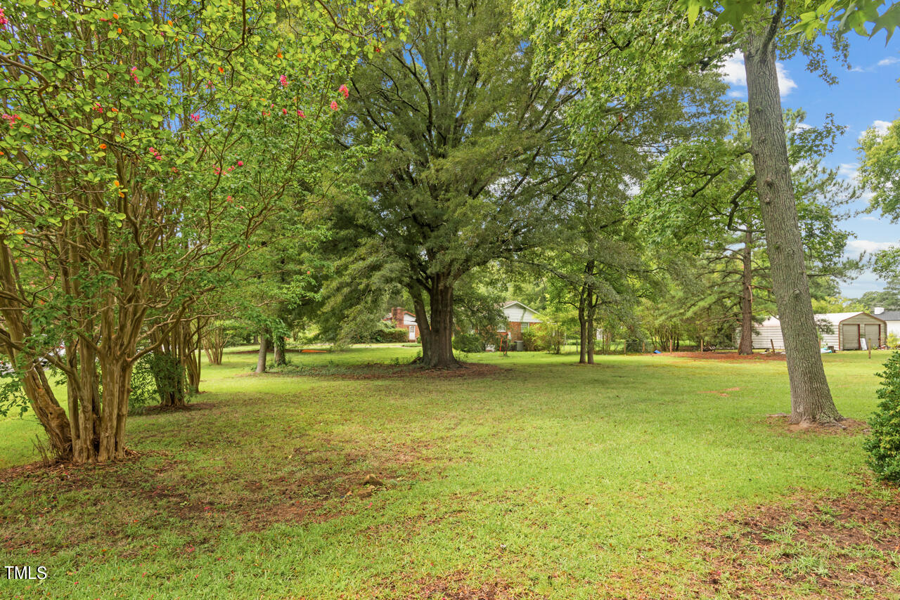 4701 Bennett Memorial Road Durham, NC 27705 - Photo 29 of 29 25 Back Yard 3