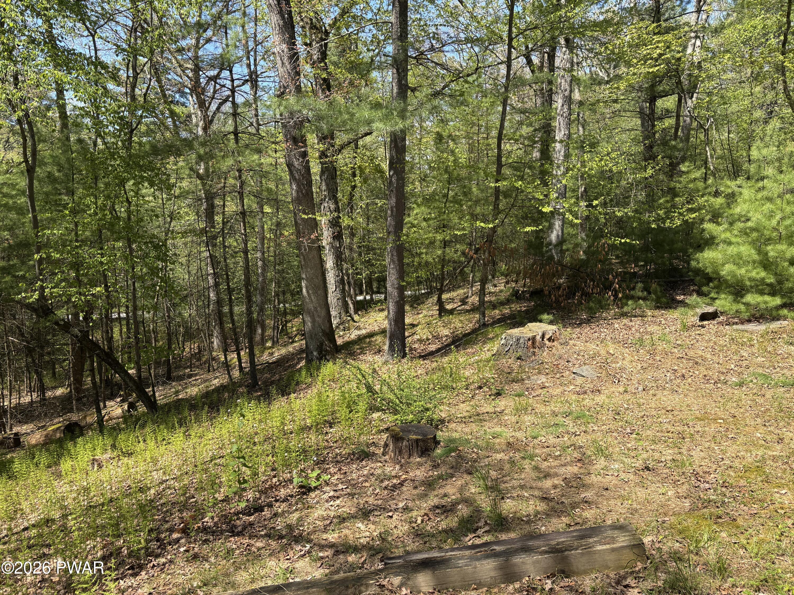 116 Beach Lane Dingmans Ferry, PA 18328 - Photo 46 of 55