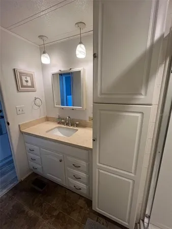 a bathroom with a sink a mirror and a shower