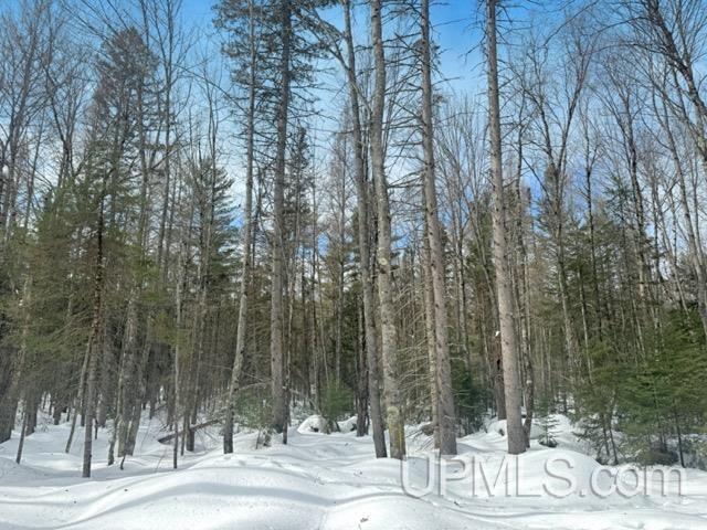 Lot 7 West Tamarack Lake Road Watersmeet, MI 49969 - Photo 2 of 11