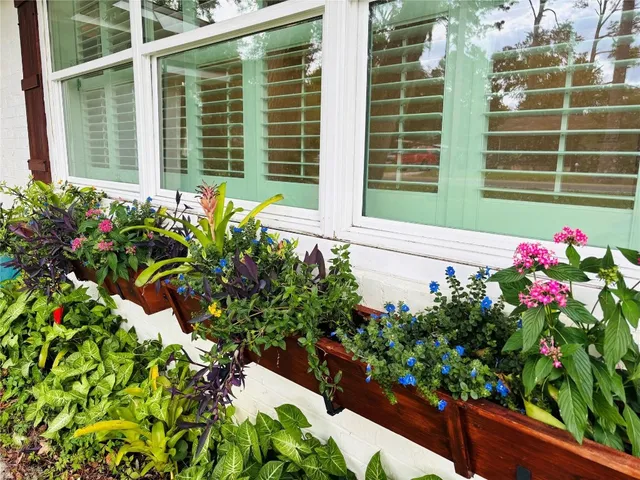 a view of a backyard with potted plants