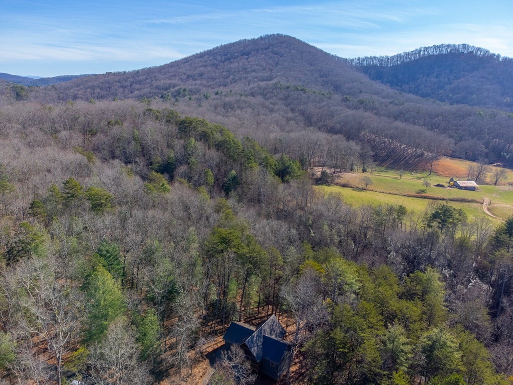 397 Kennelly Loop Murphy, NC 28906 - Photo 36 of 41