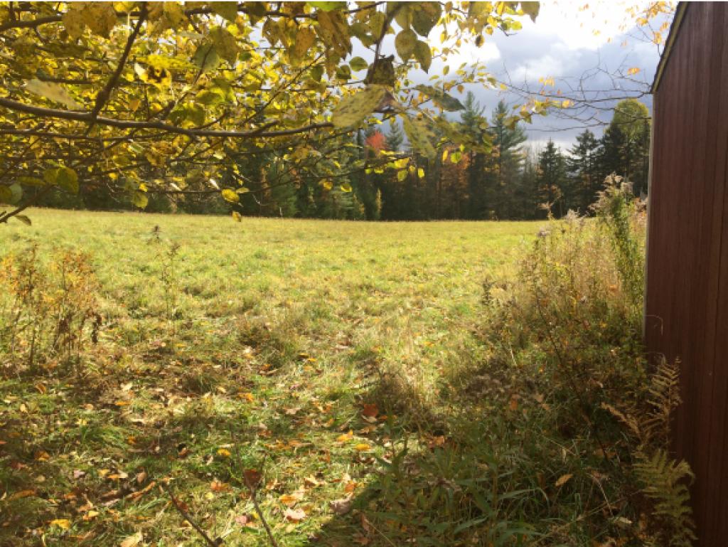 818 Town Hill Road Wolcott, VT 05680 - Photo 10 of 20 Gallery Image 10