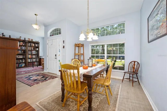a dining room with furniture a rug a potted plant and a chandelier
