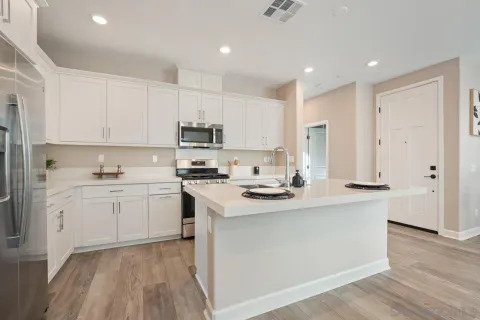 a living room with furniture and a potted plant