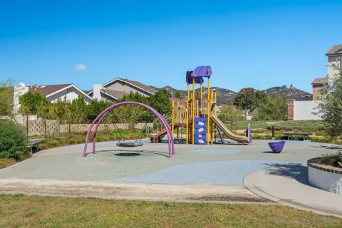 a view of a park with potted plants