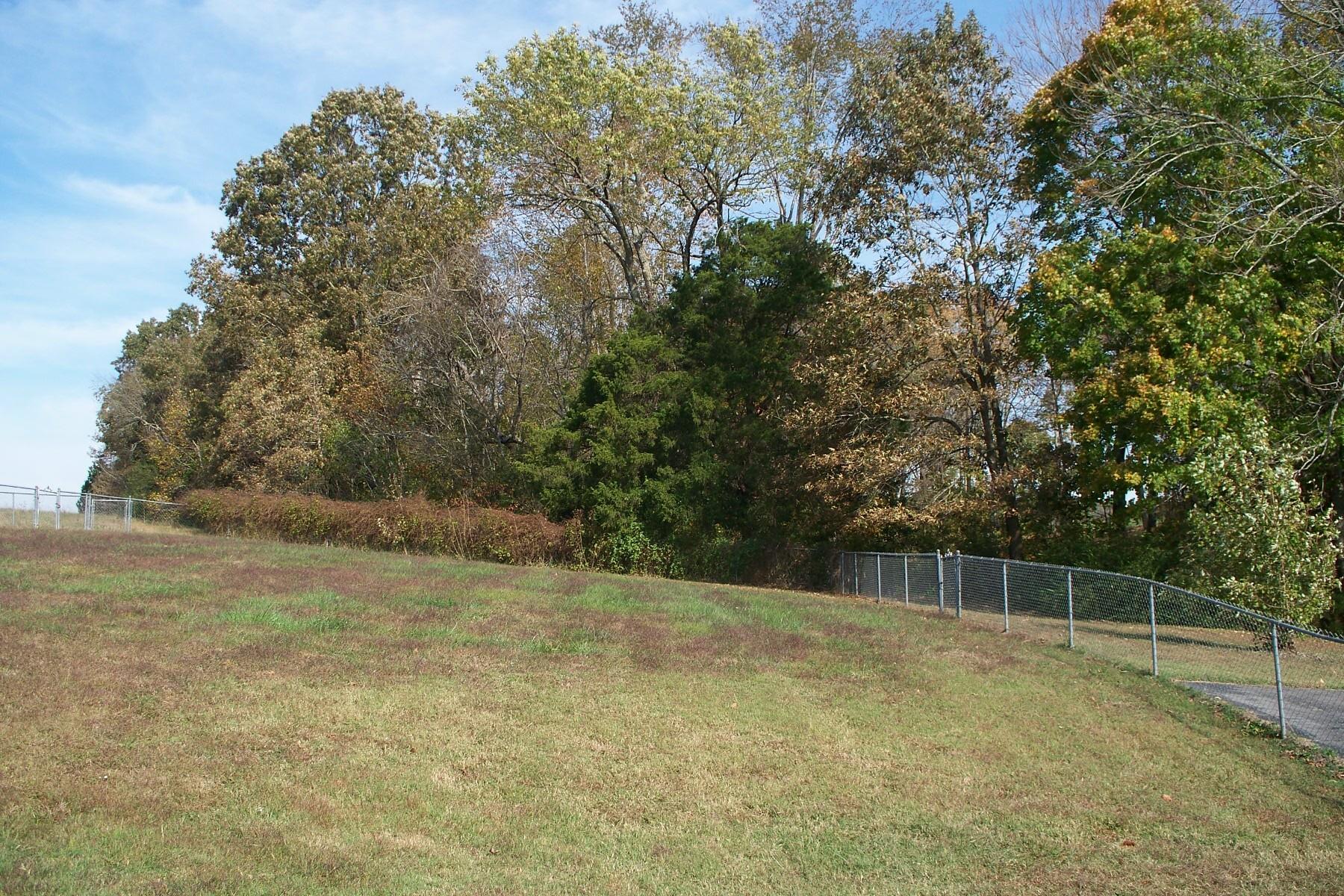 3677 Armstrong Road Springfield, TN 37172 - Photo 11 of 13 a view of a yard with a trees
