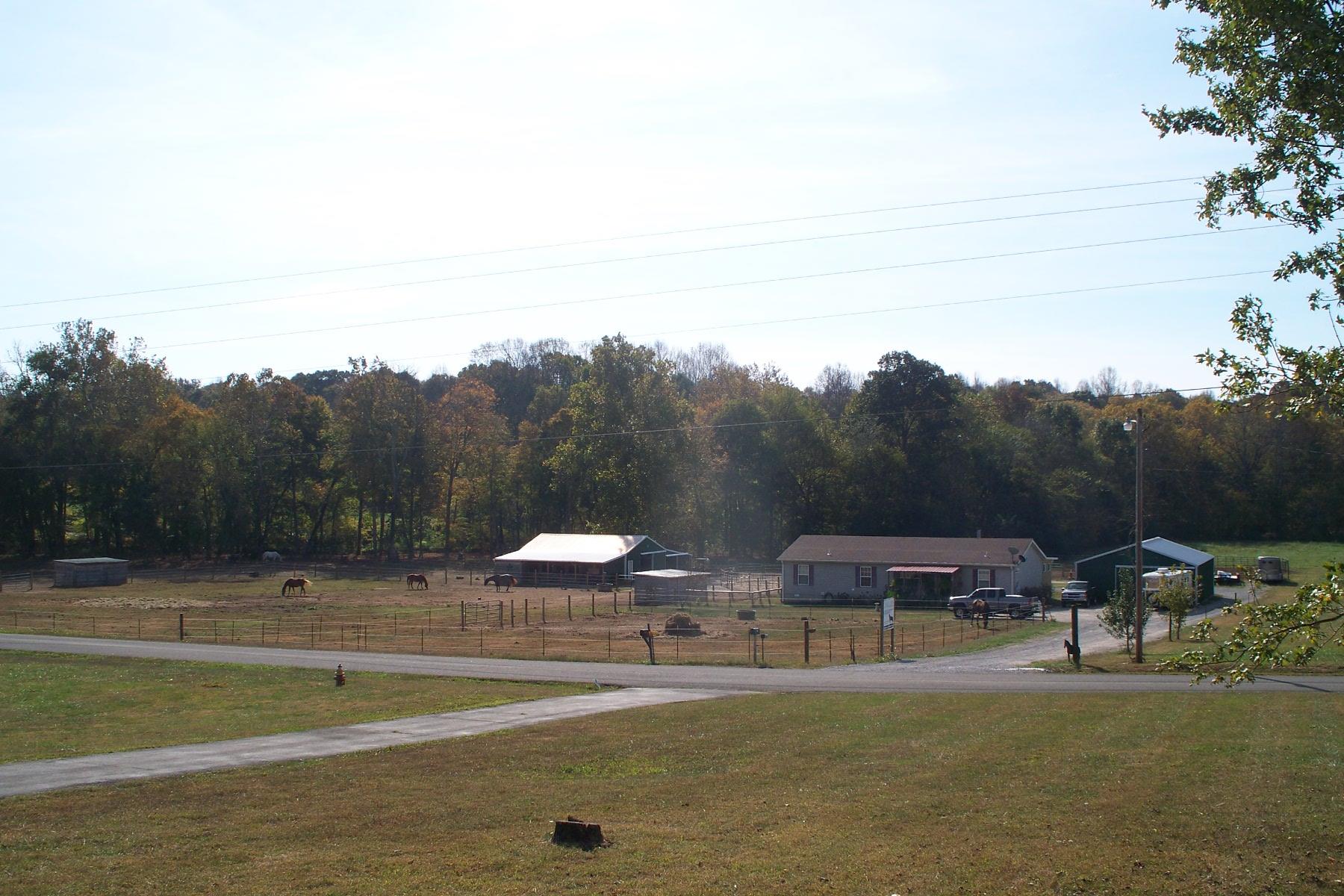 3677 Armstrong Road Springfield, TN 37172 - Photo 3 of 13 a backyard of a house with table and chairs