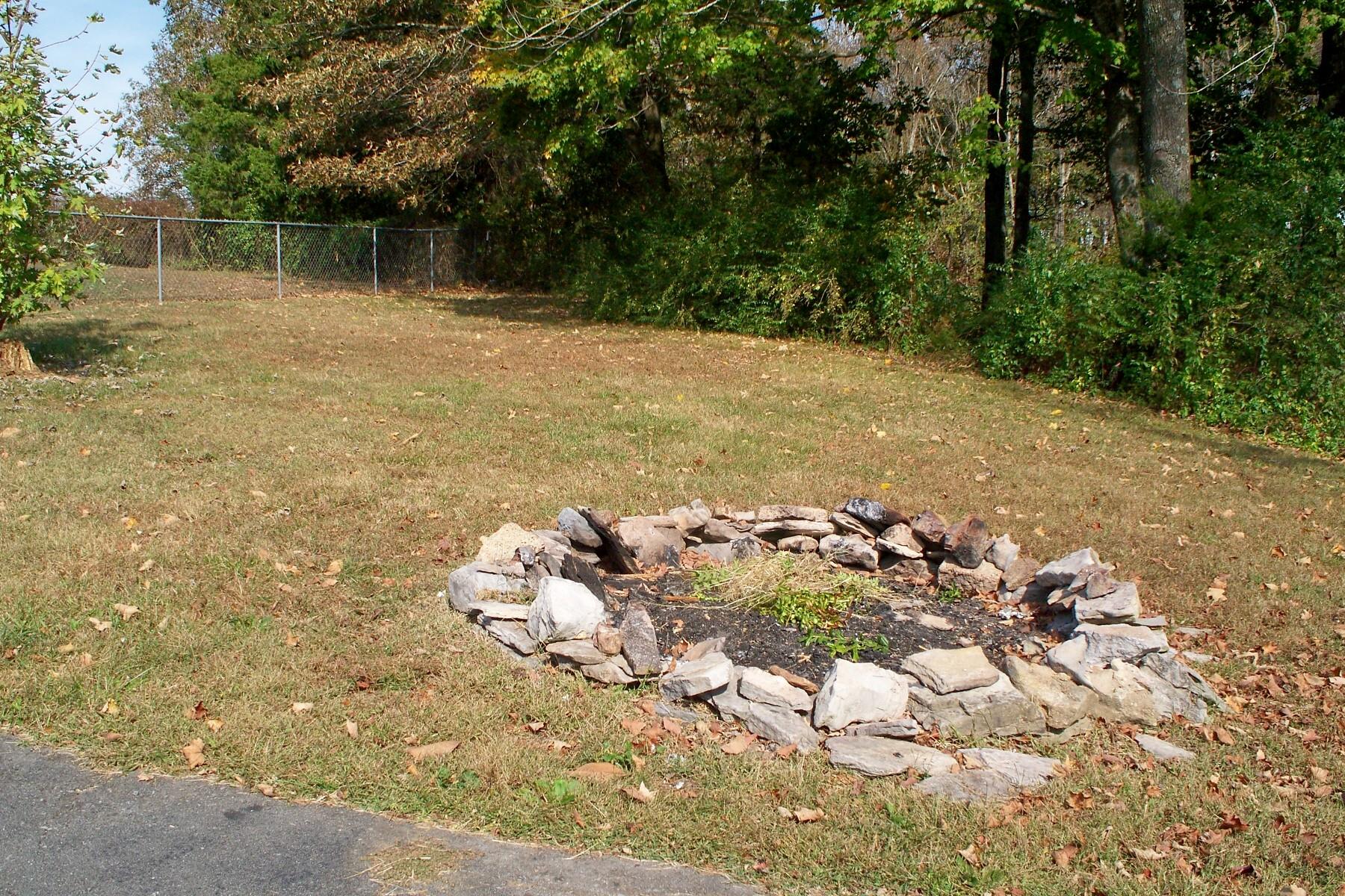 3677 Armstrong Road Springfield, TN 37172 - Photo 10 of 13 a backyard of a house with lots of green space