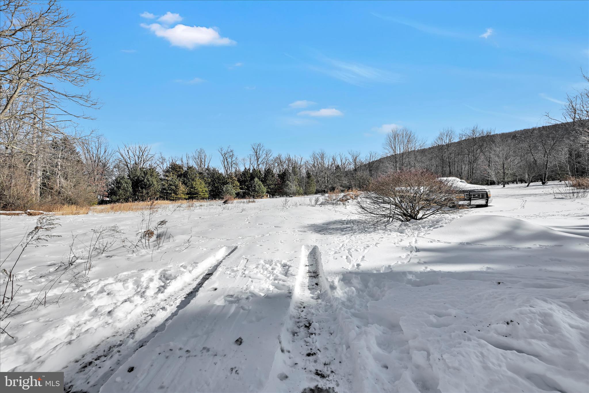 44 Main Boulevard Ringtown, PA 17967 - Photo 34 of 38 Backyard