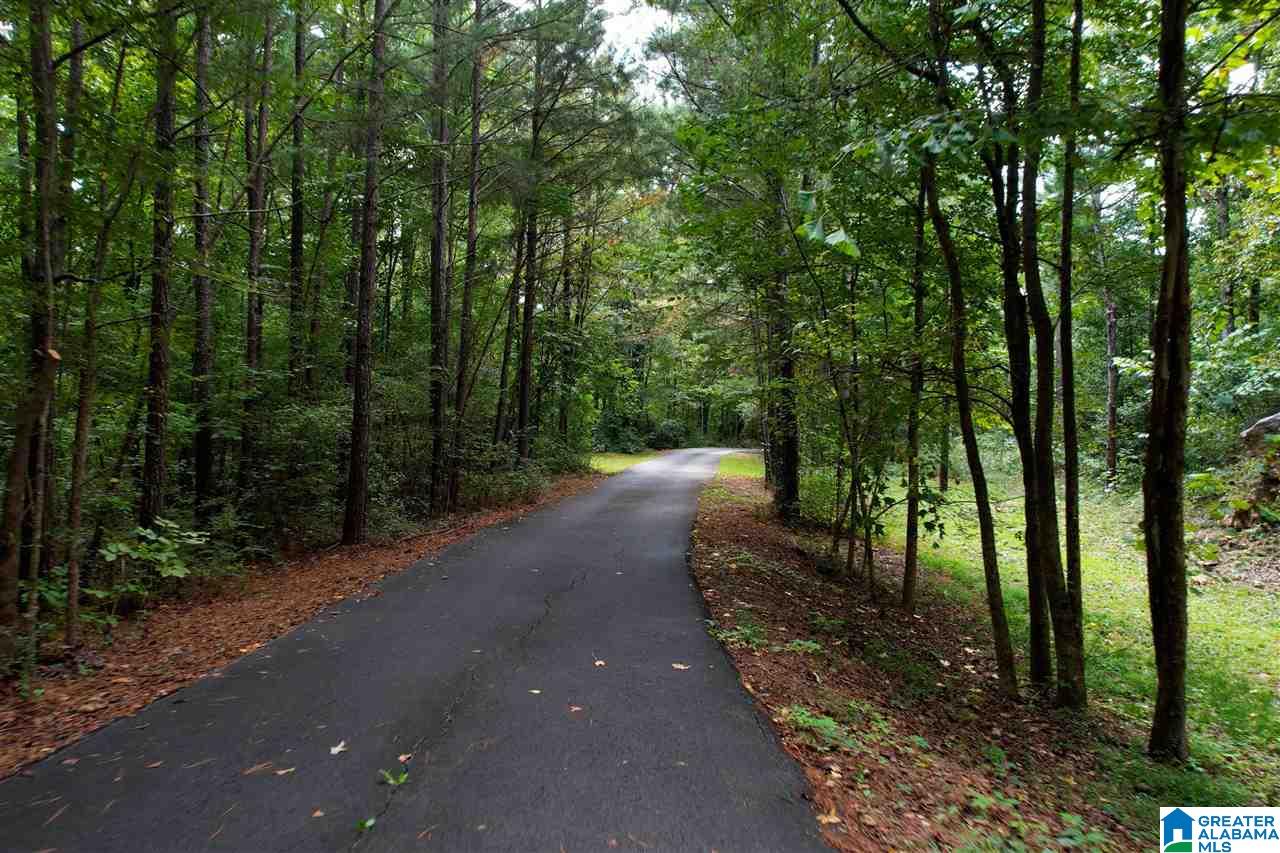 6791 Happy Hollow Road Trussville, AL 35173 - Photo 37 of 50