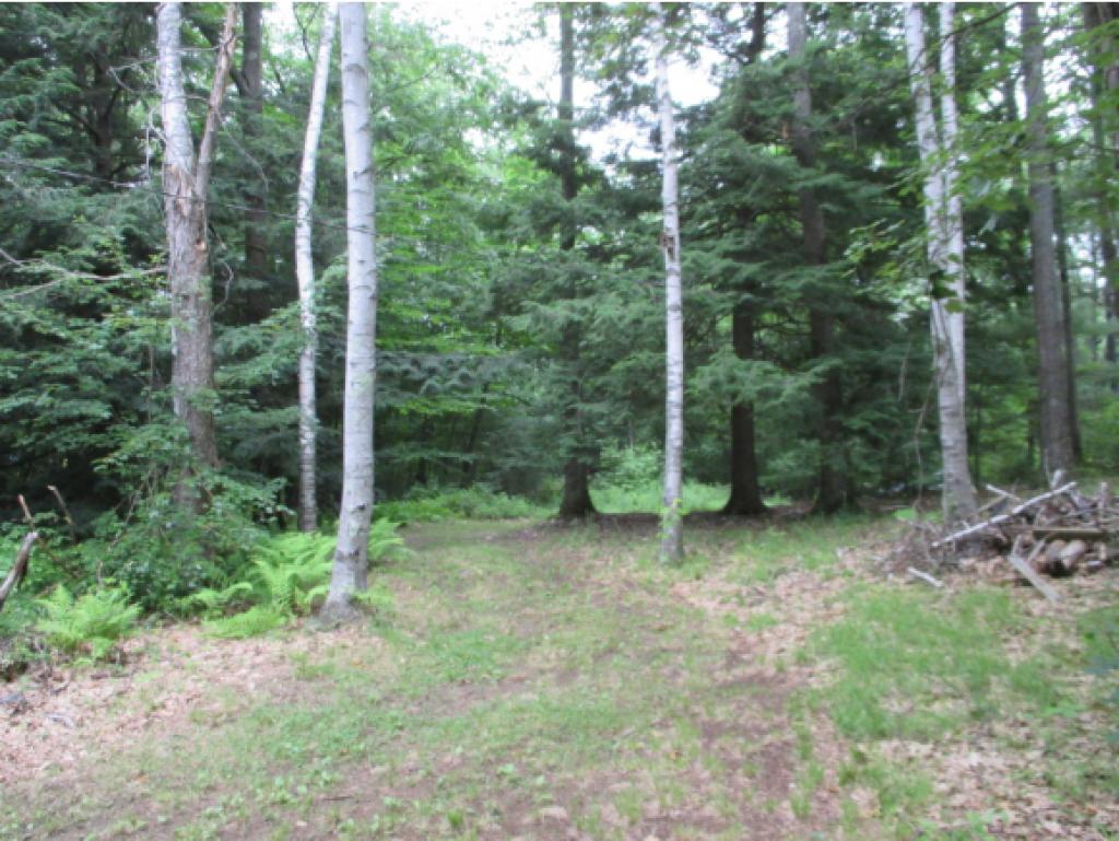 102 MacLean Road Alstead, NH 03602 - Photo 2 of 21
