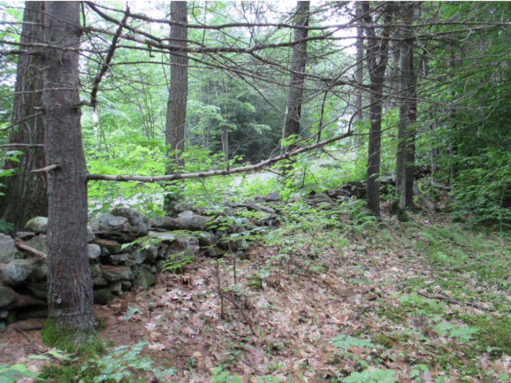 102 MacLean Road Alstead, NH 03602 - Photo 17 of 21
