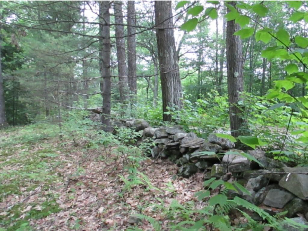 102 MacLean Road Alstead, NH 03602 - Photo 18 of 21