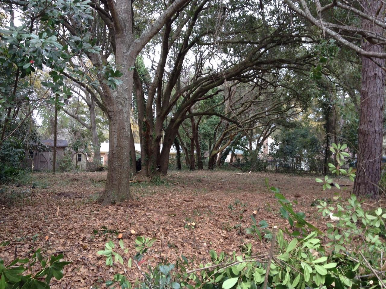 0 Leafwood Road Charleston, SC 29412 - Photo 1 of 4 Wide and High Lot