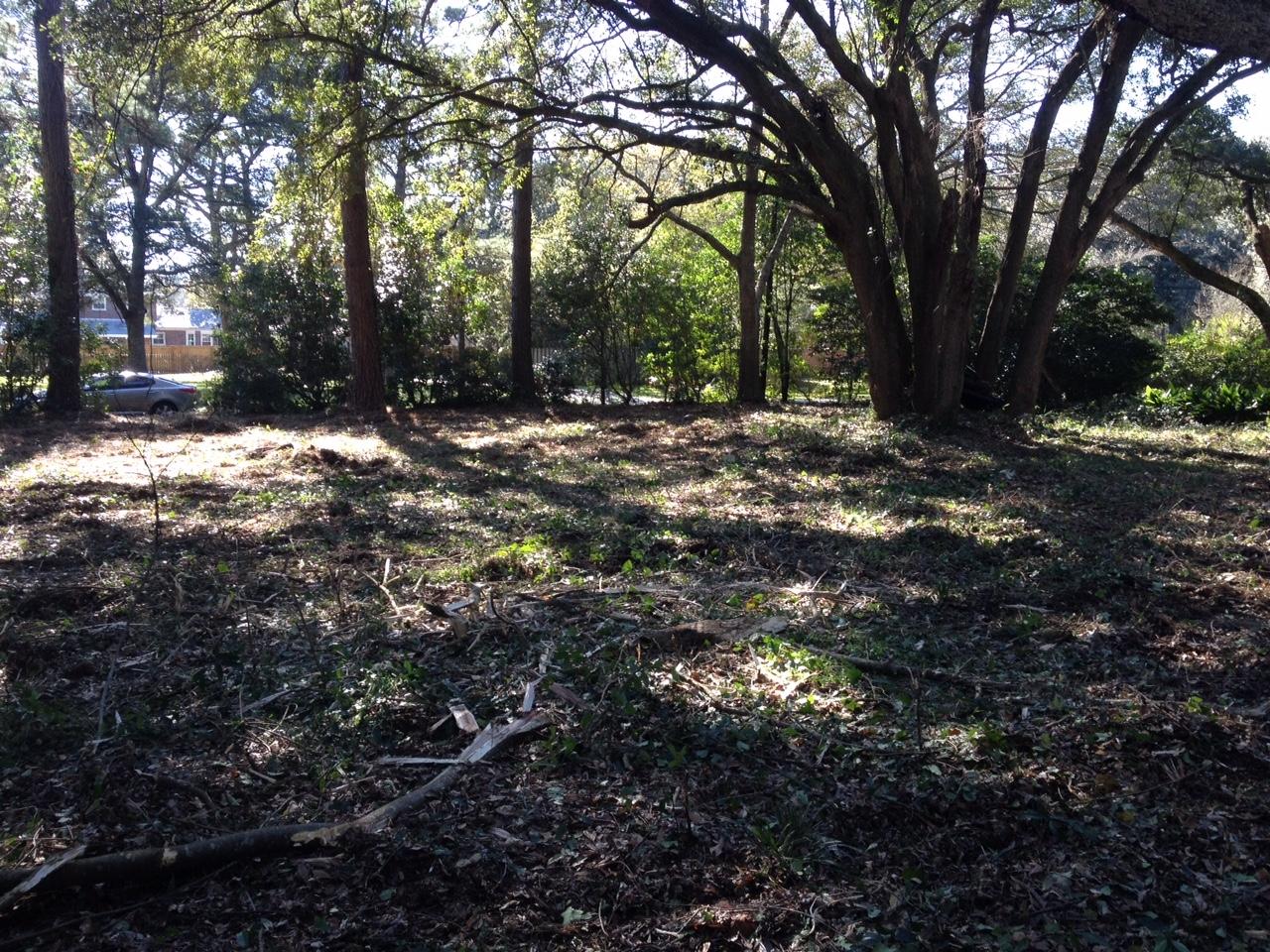 0 Leafwood Road Charleston, SC 29412 - Photo 4 of 4 Cleared and ready for your builder