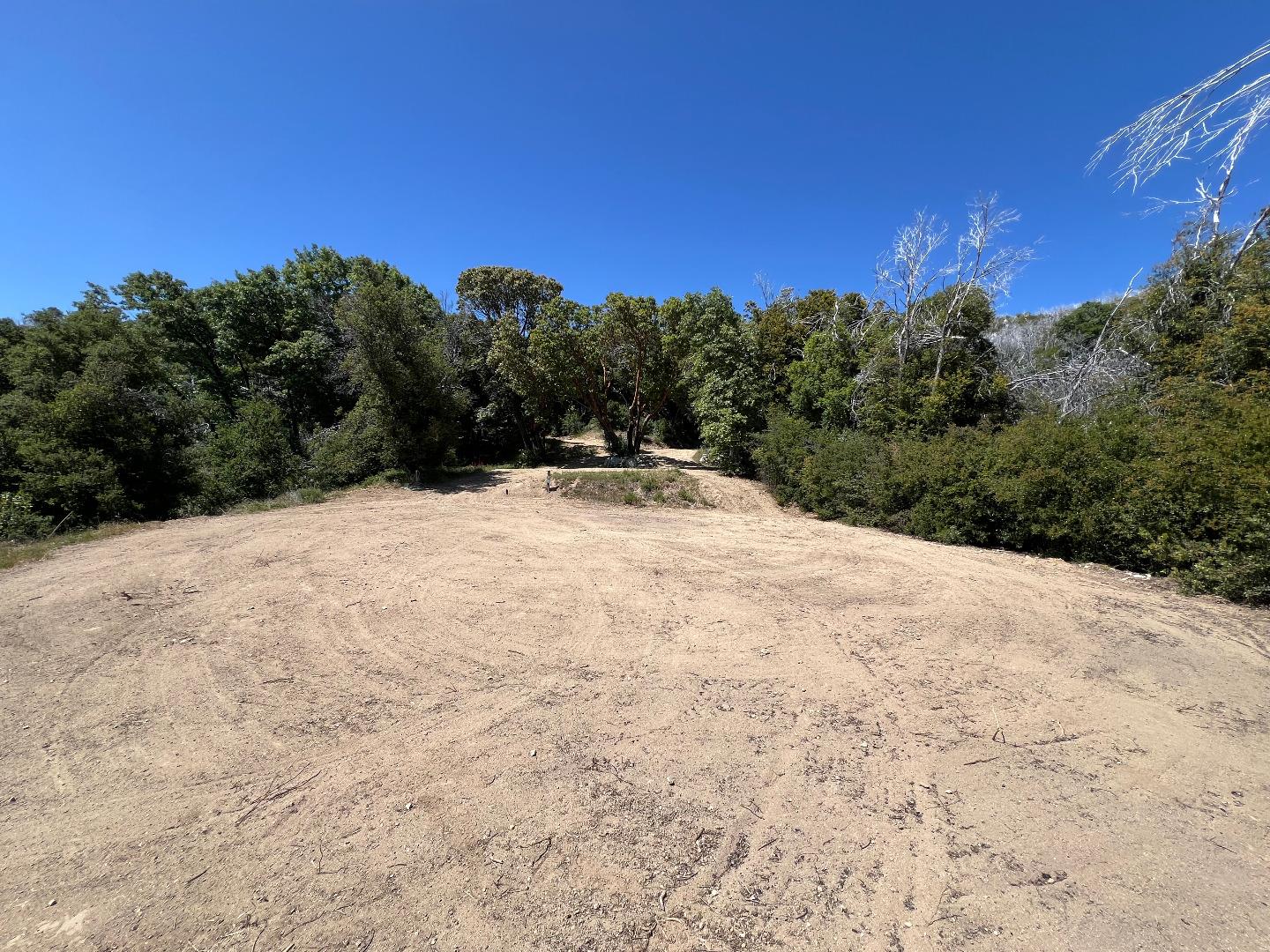 38875 Palo Colorado Road Carmel, CA 93923 - Photo 6 of 11 a view of a dry yard with trees