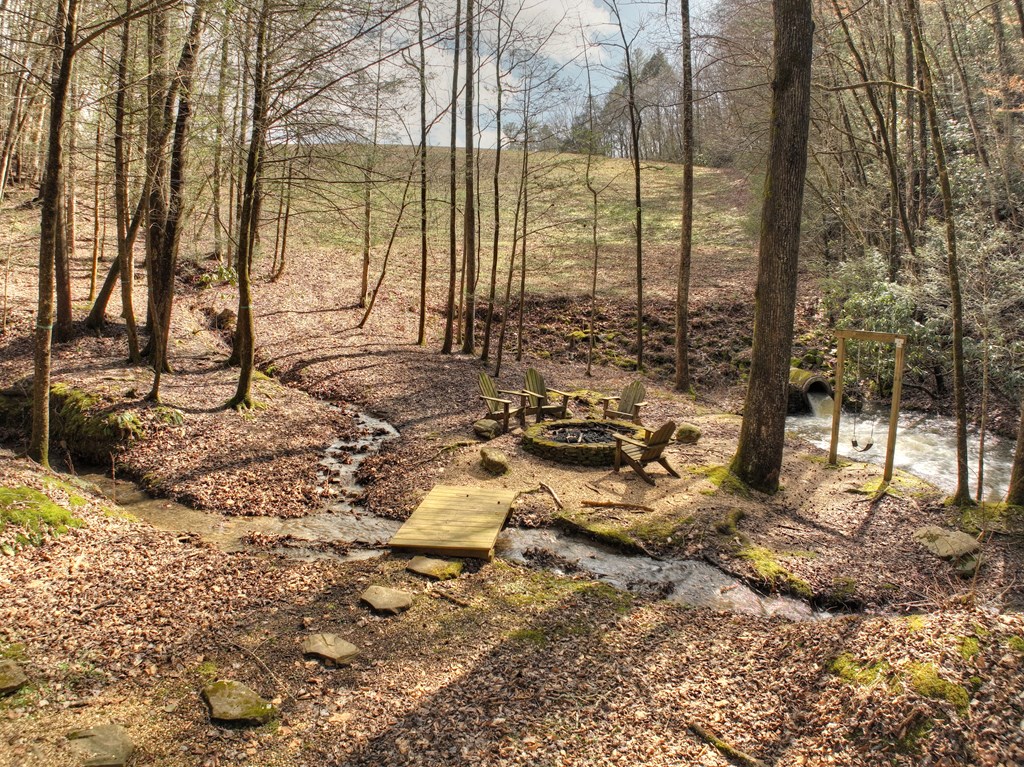 706 Laurel Ridge Drive Blue Ridge, GA 30513 - Photo 44 of 93 Gallery Image 44