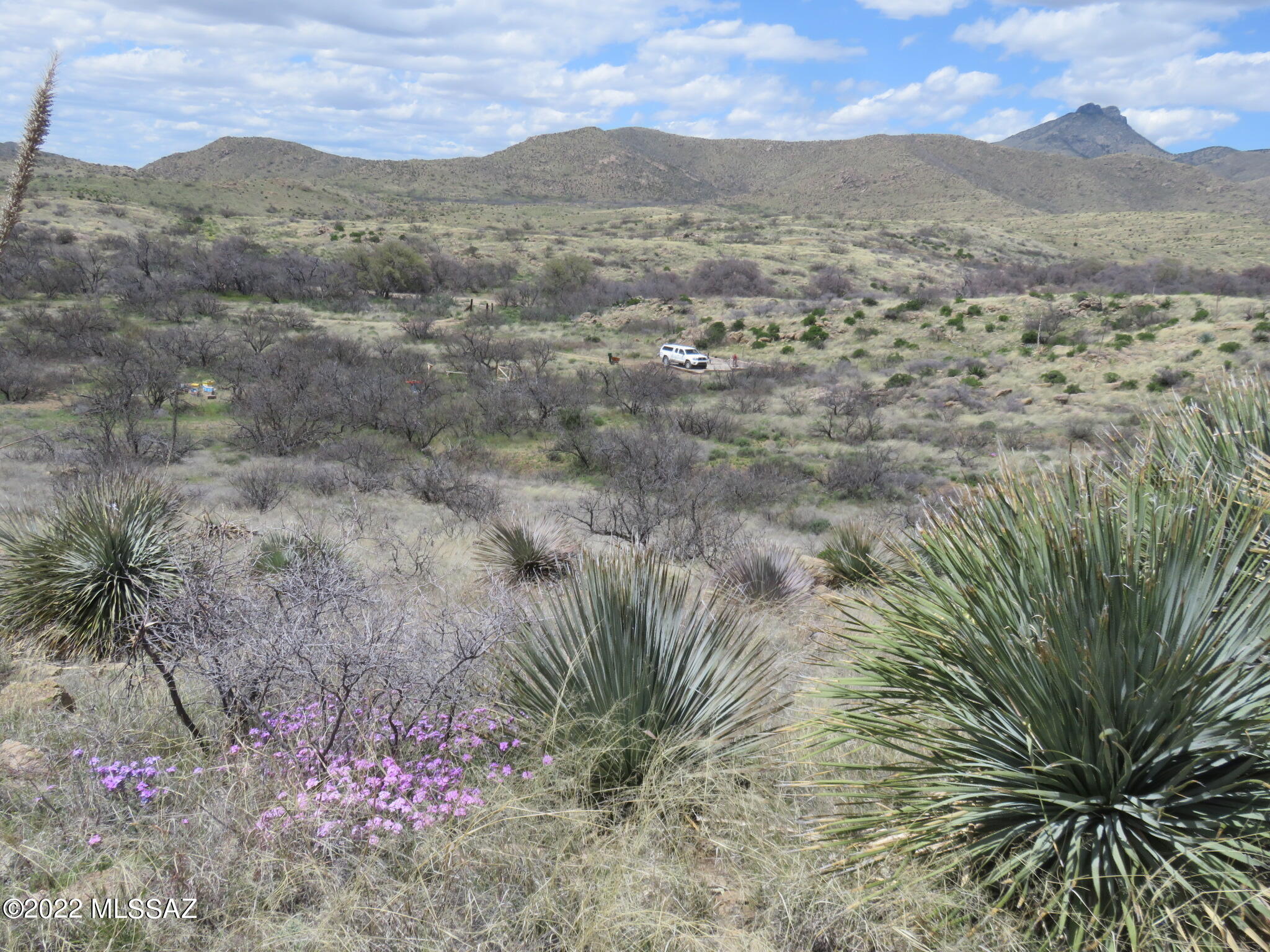 Butterfield Ranch, Unit 29 Willcox, AZ 85643 - Photo 7 of 20 Gallery Image 7