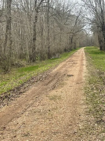 a view of backyard with green space