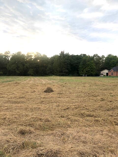 2 Saylor Road Northwest Baltimore, OH 43105 - Photo 5 of 6 Lot 2c
