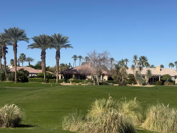 a view of a park with large trees