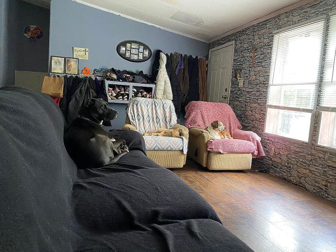 81 Otens Road Wawarsing, NY 12428 - Photo 11 of 15