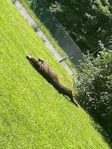 81 Otens Road Wawarsing, NY 12428 - Photo 15 of 15