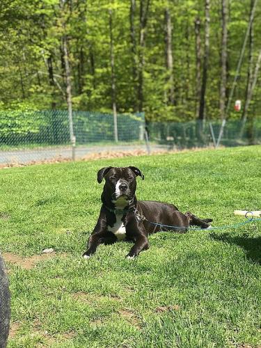 81 Otens Road Wawarsing, NY 12428 - Photo 3 of 15