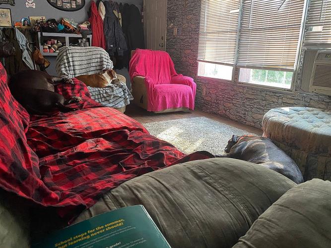 81 Otens Road Wawarsing, NY 12428 - Photo 7 of 15