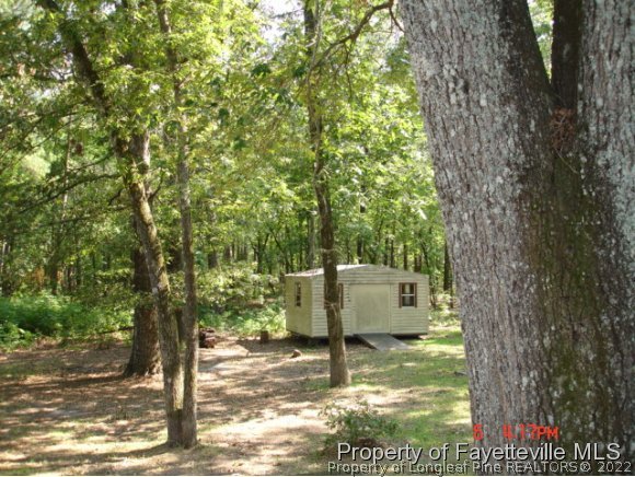 136 Dundee Farm Road Raeford, NC 28376 - Photo 6 of 8 Gallery Image 6