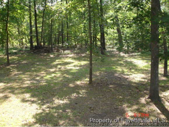 136 Dundee Farm Road Raeford, NC 28376 - Photo 7 of 8 Gallery Image 7
