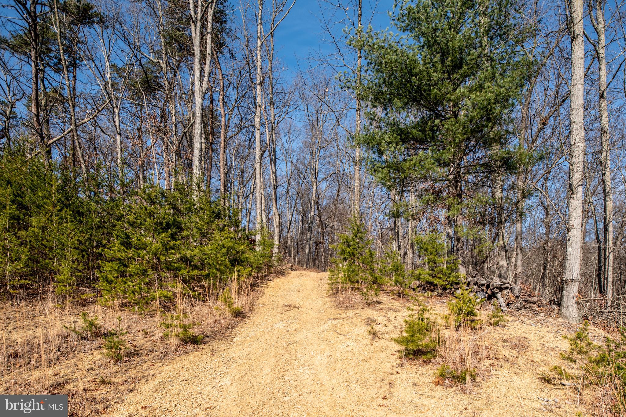 219 Shale Road Shenandoah, VA 22849 - Photo 46 of 140 established trails throughout property