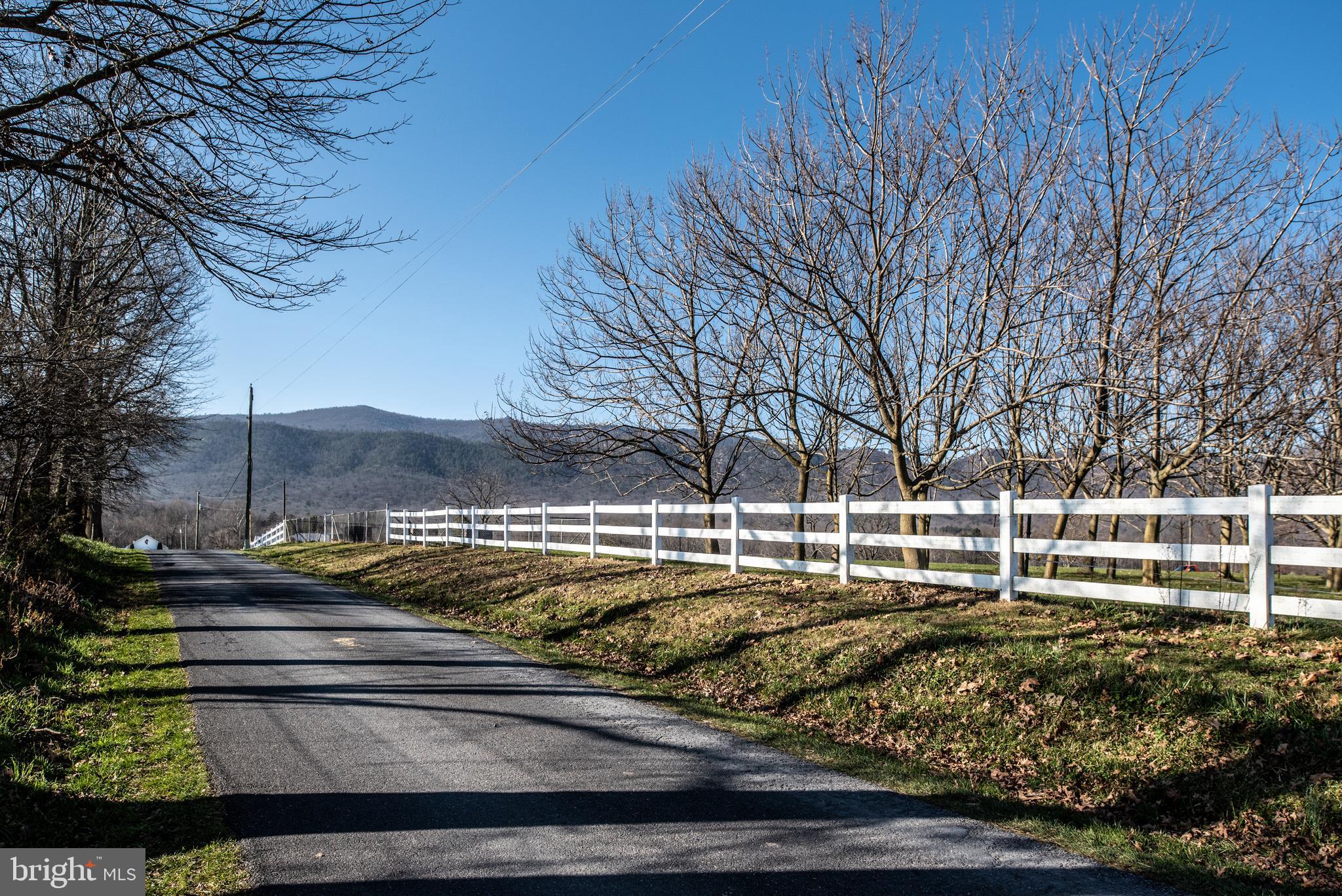219 Shale Road Shenandoah, VA 22849 - Photo 50 of 140 views driving to property