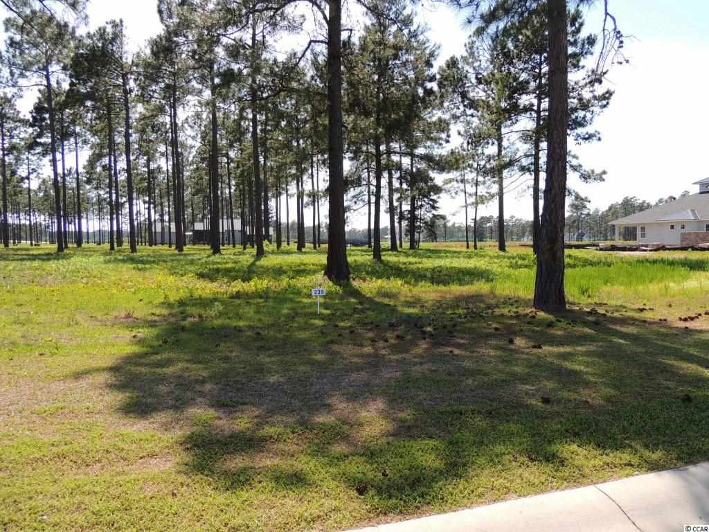 Lot 232 Cottage Shell Drive Myrtle Beach, SC 29579 - Photo 2 of 14 Gallery Image 2