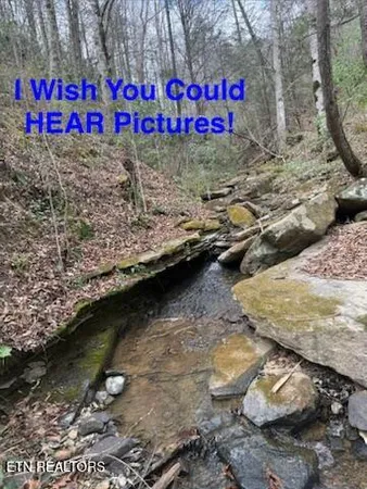 $1,600,000 | 0 Hickory Creek Road, La Follette, TN 37766