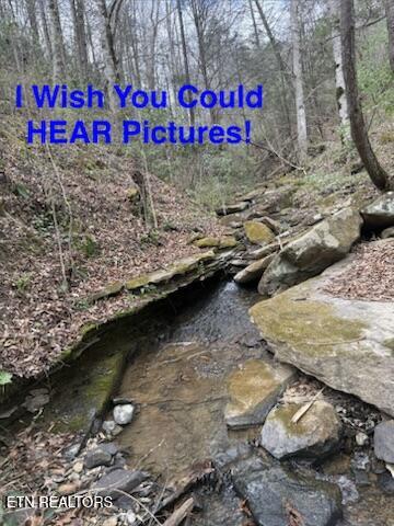 Hickory Creek Ln