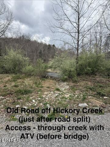 0 Hickory Creek Road La Follette, TN 37766 - Photo 14 of 38 Hickory Creek Ln