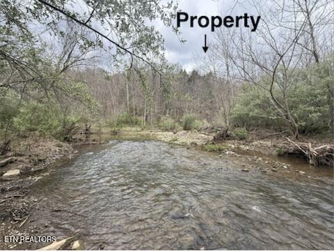 0 Hickory Creek Road La Follette, TN 37766 - Photo 16 of 38 Hickory Creek Ln