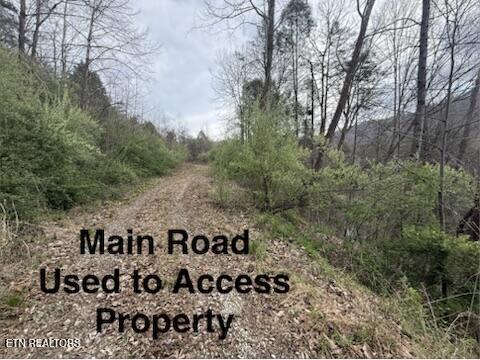 0 Hickory Creek Road La Follette, TN 37766 - Photo 18 of 38 Hickory Creek Ln
