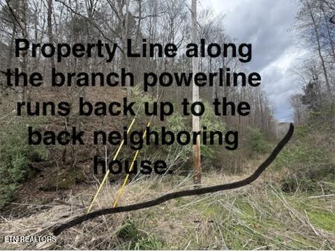 0 Hickory Creek Road La Follette, TN 37766 - Photo 20 of 38 Hickory Creek Ln