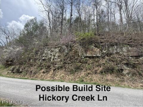 0 Hickory Creek Road La Follette, TN 37766 - Photo 23 of 38 Hickory Creek Ln