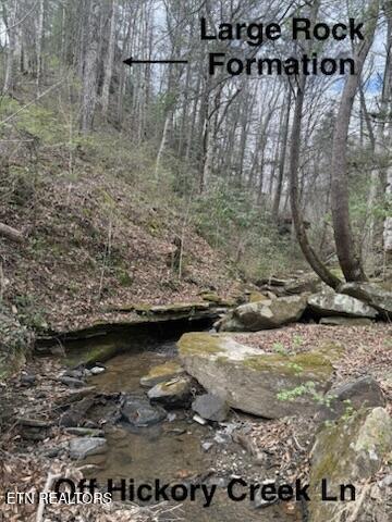 0 Hickory Creek Road La Follette, TN 37766 - Photo 24 of 38 Hickory Creek Ln